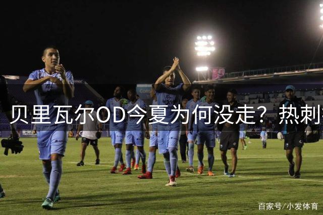贝里瓦尔OD今夏为何没走？热刺拒绝6000万镑报价，德泽尔比态度出现转变